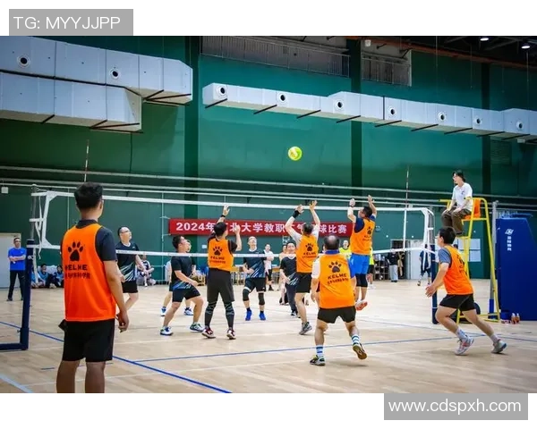 成都排球队排球意识排名创新高展现团队实力与战术智慧